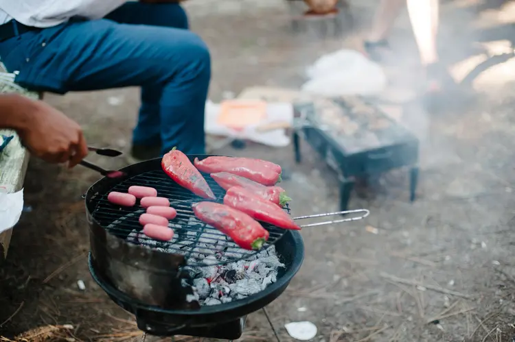 Picnic at the park Mangal parkta